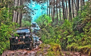 OFF-Road3